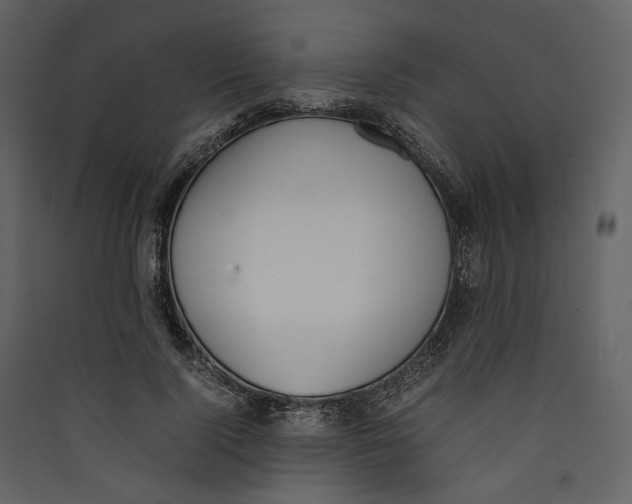 X0000089400740200707131739