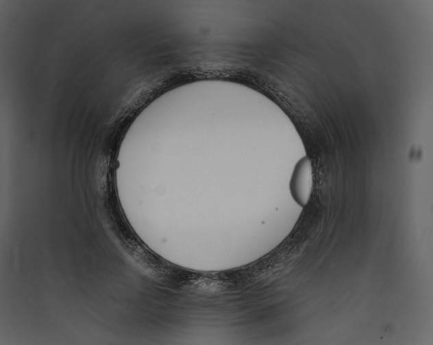 X0000089400742200707131739