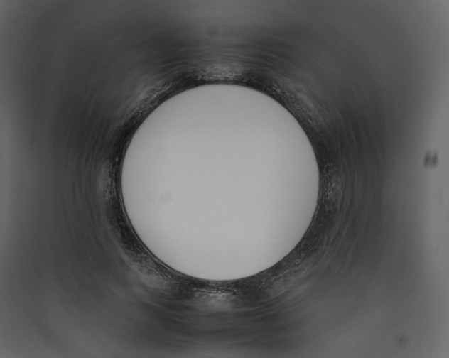 X0000089400743200707131739