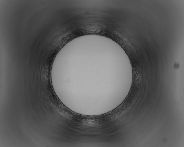 X0000089400745200707131739