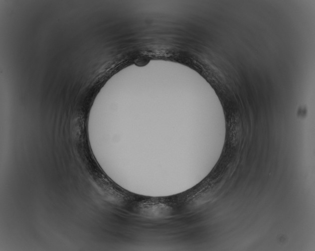 X0000089400747200707131739