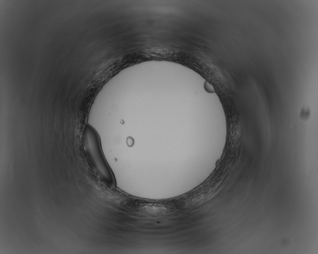 X0000089400749200707131740