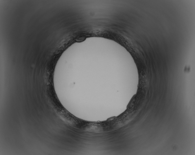 X0000089400750200707131740