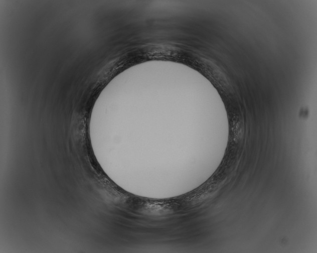 X0000089400753200707131740
