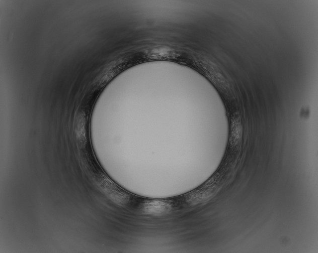 X0000089400754200707131740
