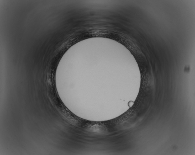 X0000089400755200707131740