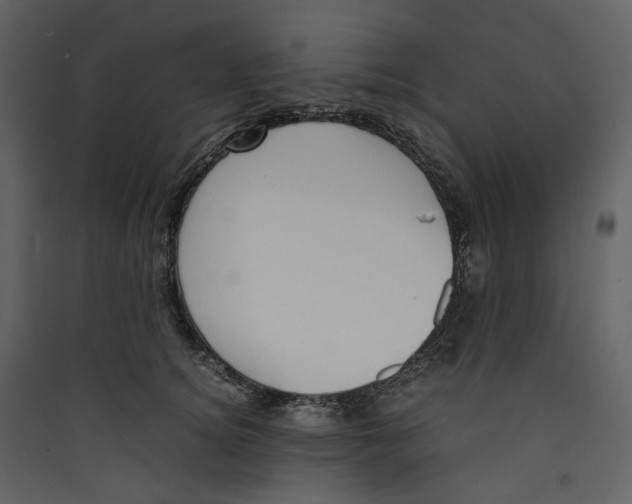 X0000089400756200707131740