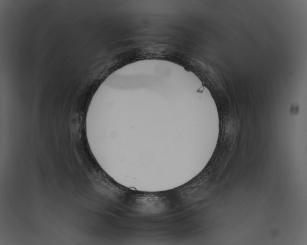 X0000089400759200707131740