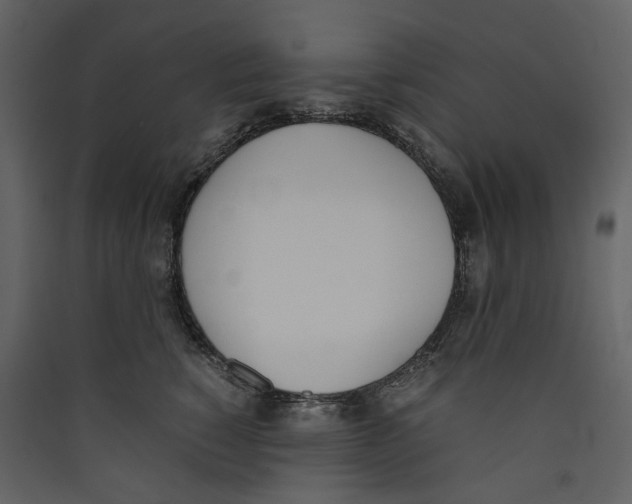 X0000089400760200707131740