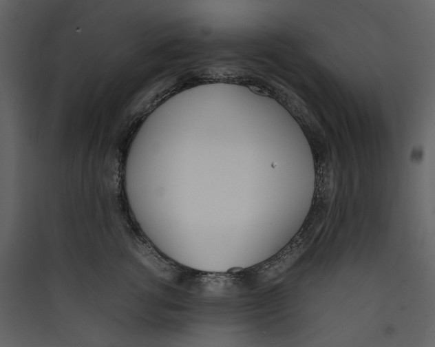 X0000089400762200707131740