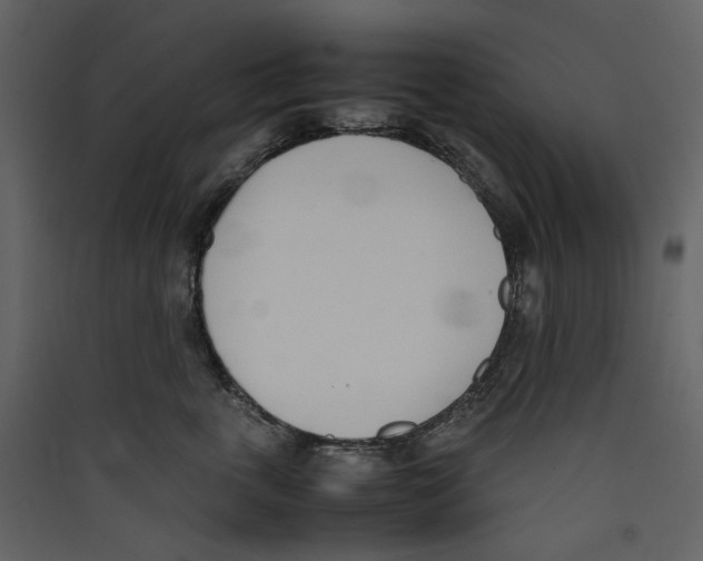 X0000089400763200707131740