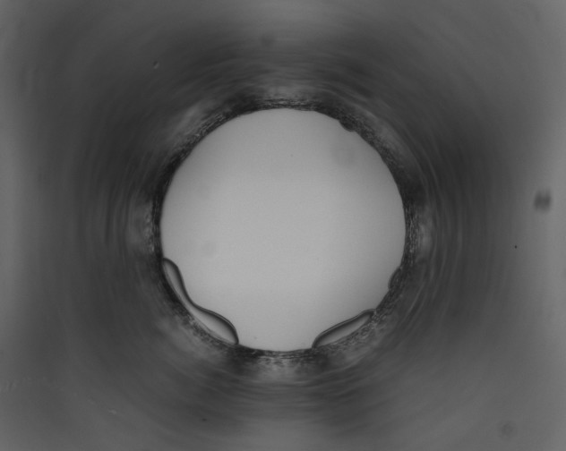 X0000089400764200707131740