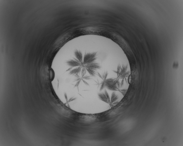 X0000089400765200707131740