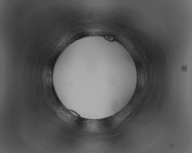 X0000089400766200707131740