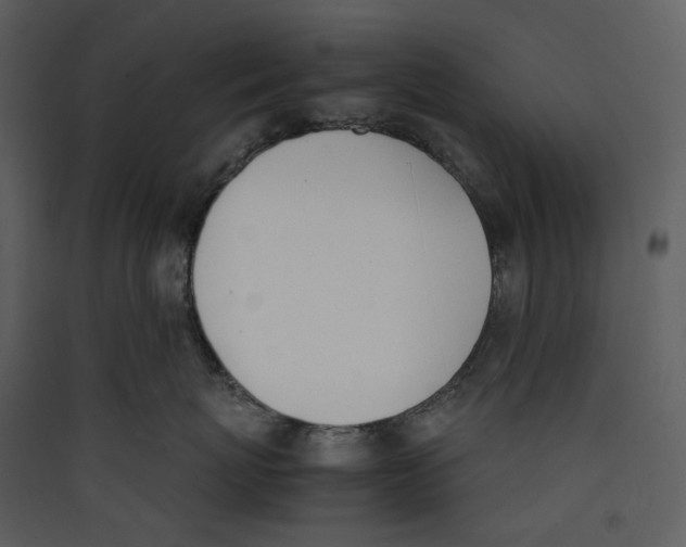 X0000089400767200707131740