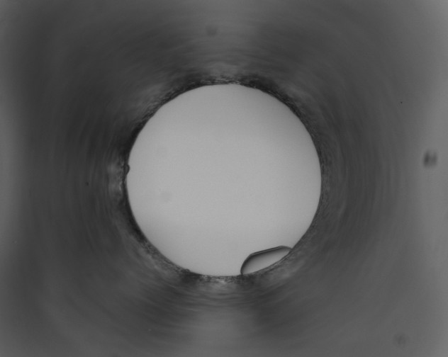 X0000089400768200707131740