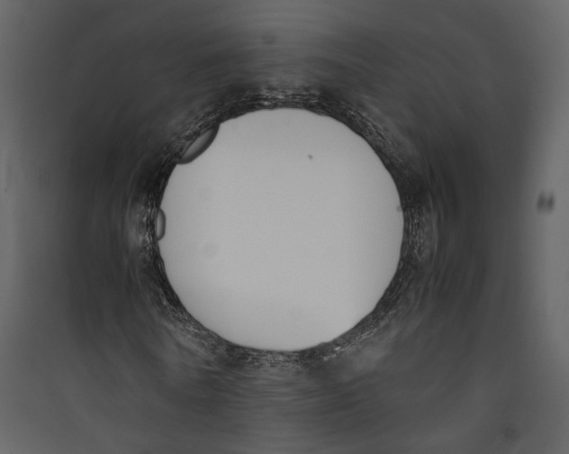 X0000089400770200707131739