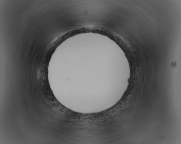 X0000089400776200707131739