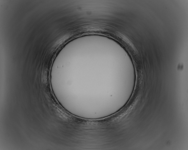 X0000089400777200707131739