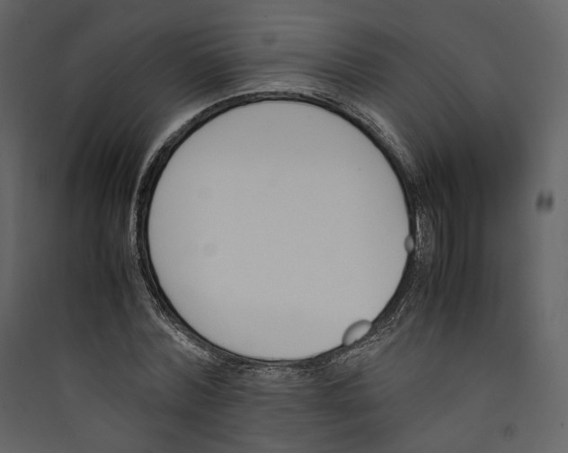 X0000089400780200707131739
