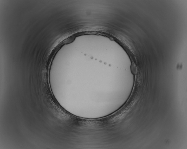 X0000089400781200707131739