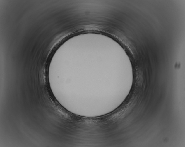 X0000089400782200707131739