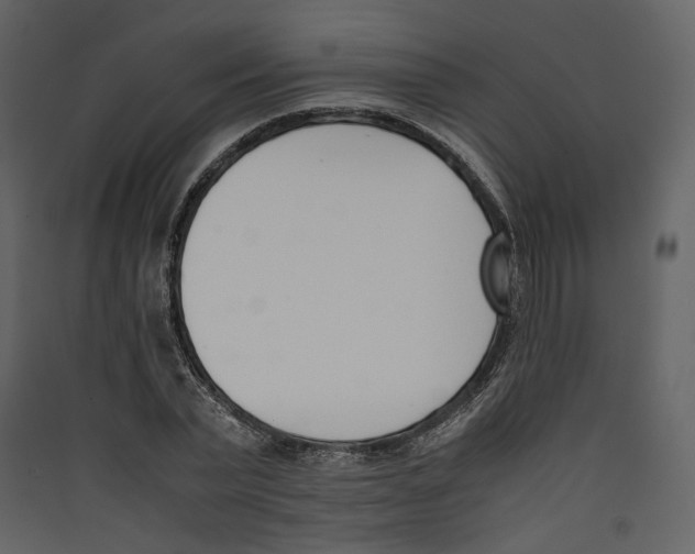 X0000089400783200707131739