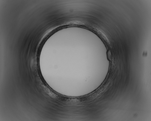 X0000089400784200707131739