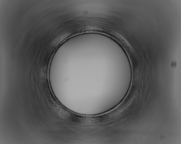 X0000089400785200707131739