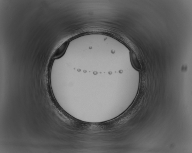X0000089400787200707131739