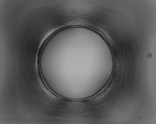 X0000089400788200707131739