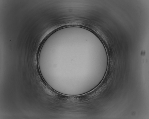 X0000089400789200707131739