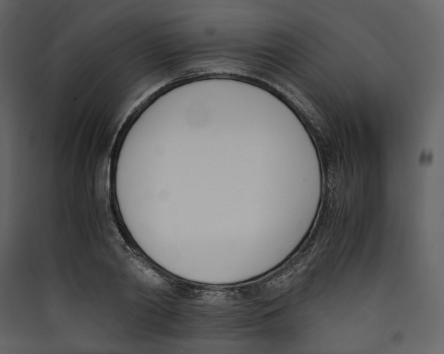 X0000089400790200707131739