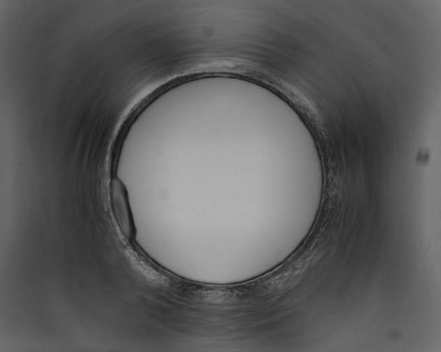 X0000089400792200707131739