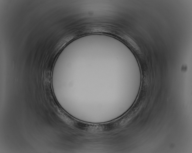 X0000089400793200707131739