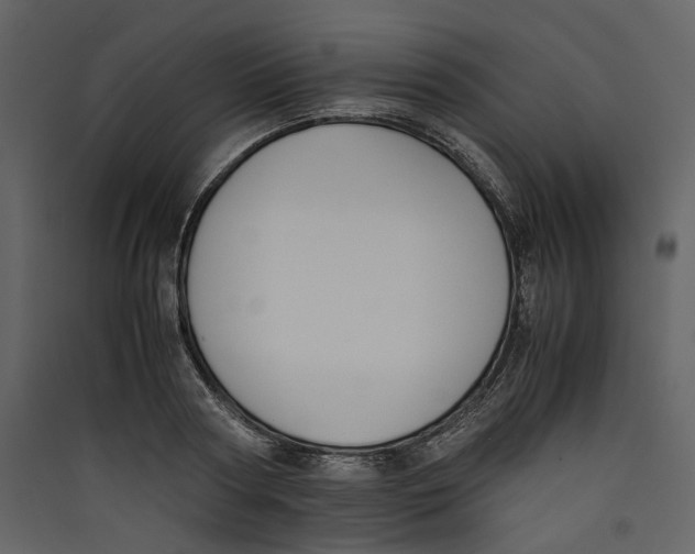 X0000089400794200707131739