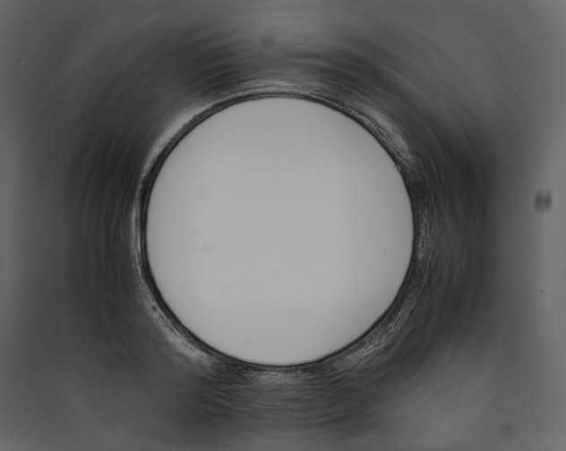 X0000089400796200707131739