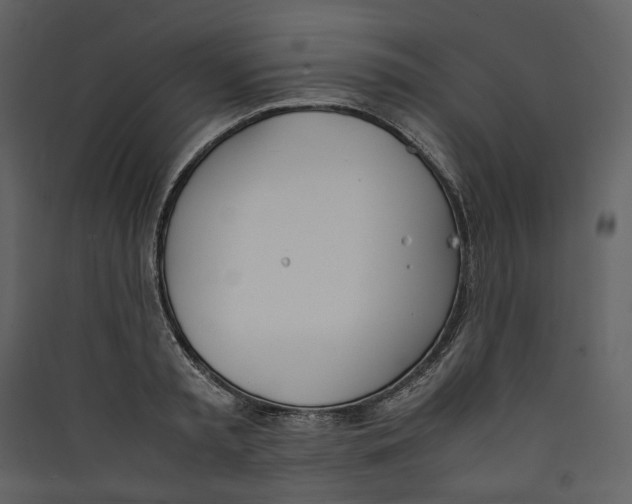 X0000089400797200707131739