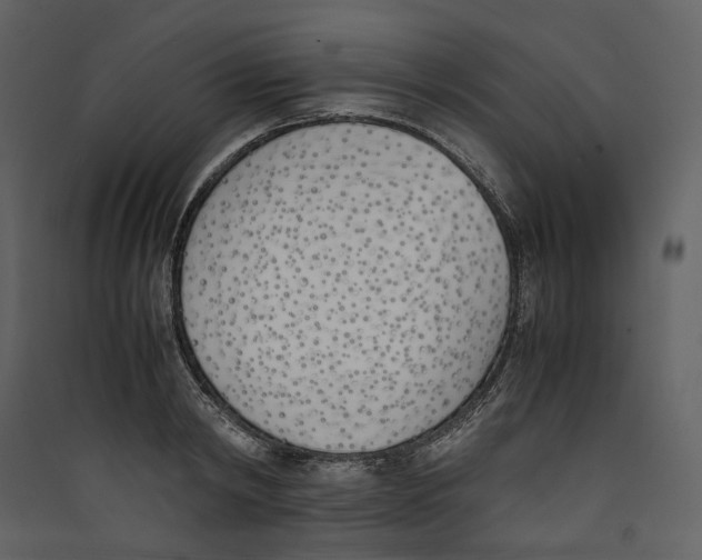 X0000089400798200707131739