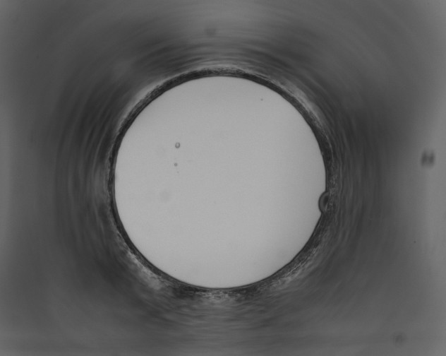 X0000089400799200707131739