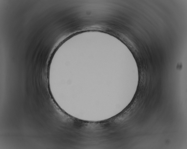 X0000089400800200707131739