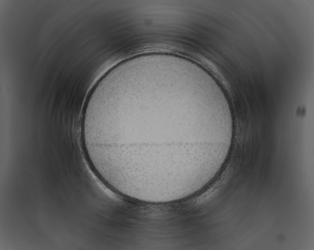 X0000089400802200707131739