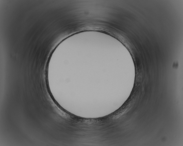 X0000089400803200707131739