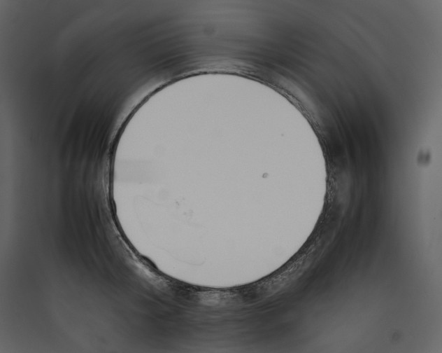 X0000089400804200707131739
