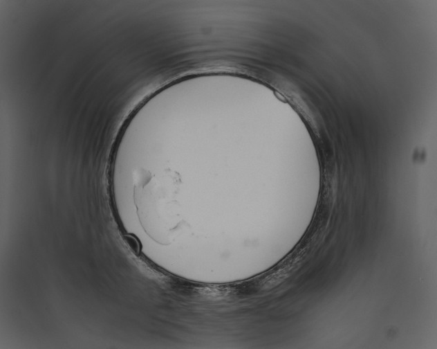 X0000089400805200707131739