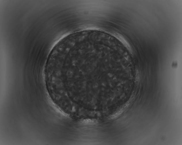 X0000089400806200707131739