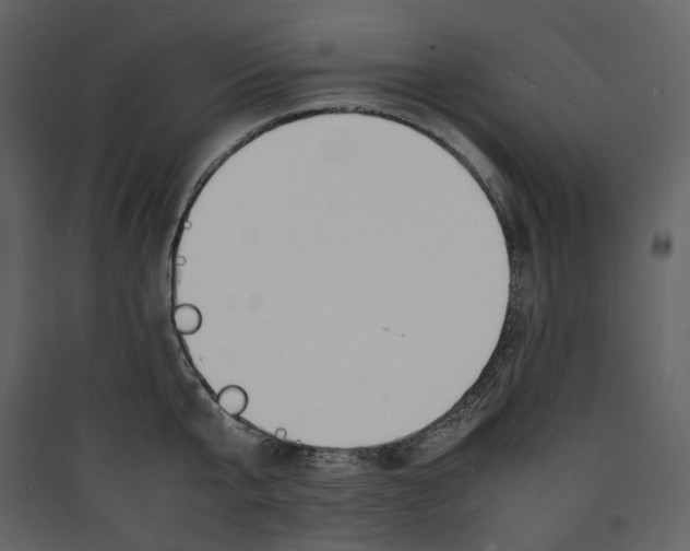 X0000089400807200707131739