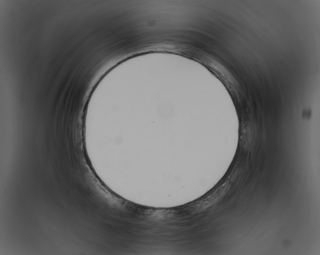 X0000089400808200707131739