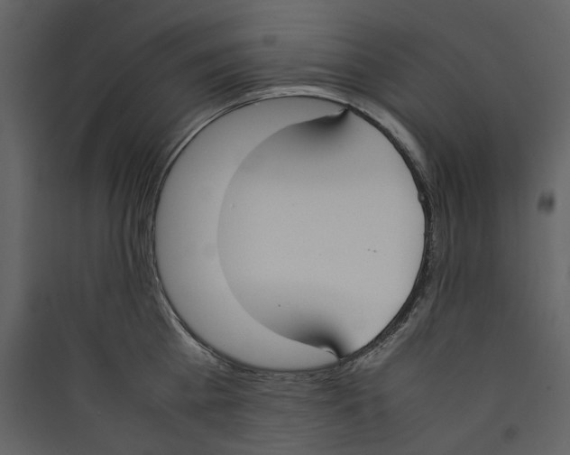 X0000089400809200707131739