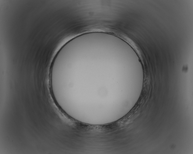 X0000089400811200707131739